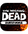 Player Icon